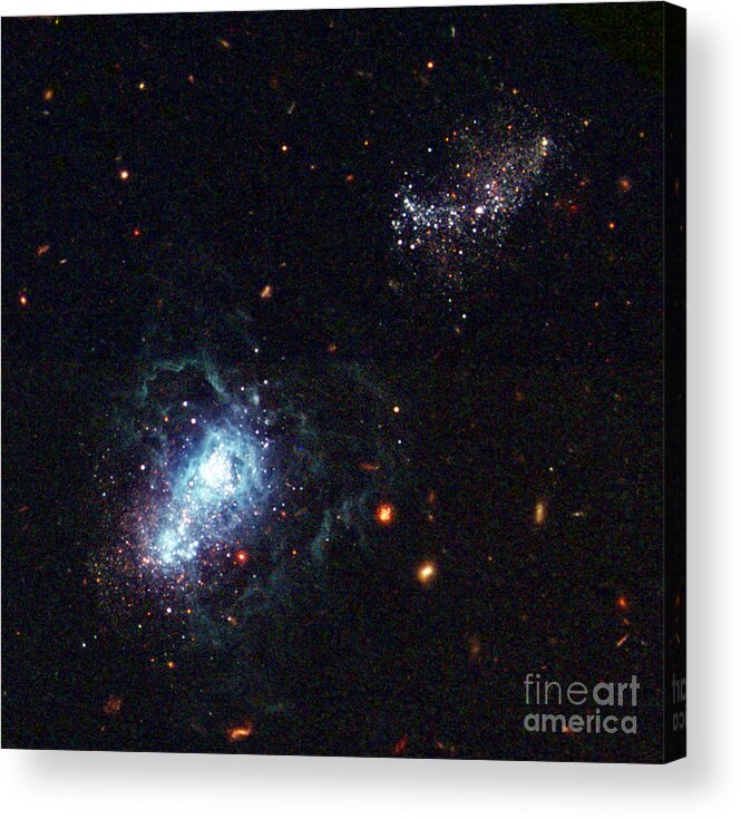 Science Acrylic Print featuring the photograph Dwarf Irregular Galaxy, I Zwicky 18 #1 by Science Source