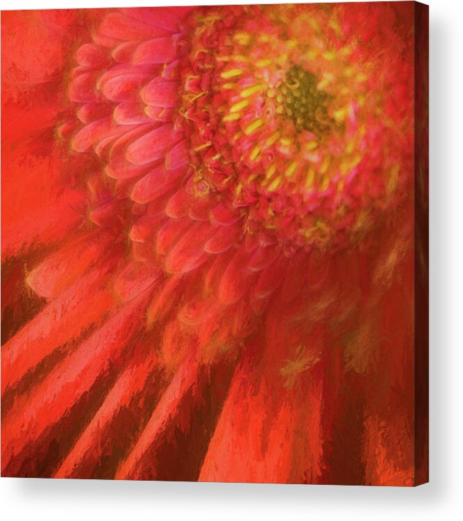 Flower Acrylic Print featuring the photograph Flower #2 by George Robinson