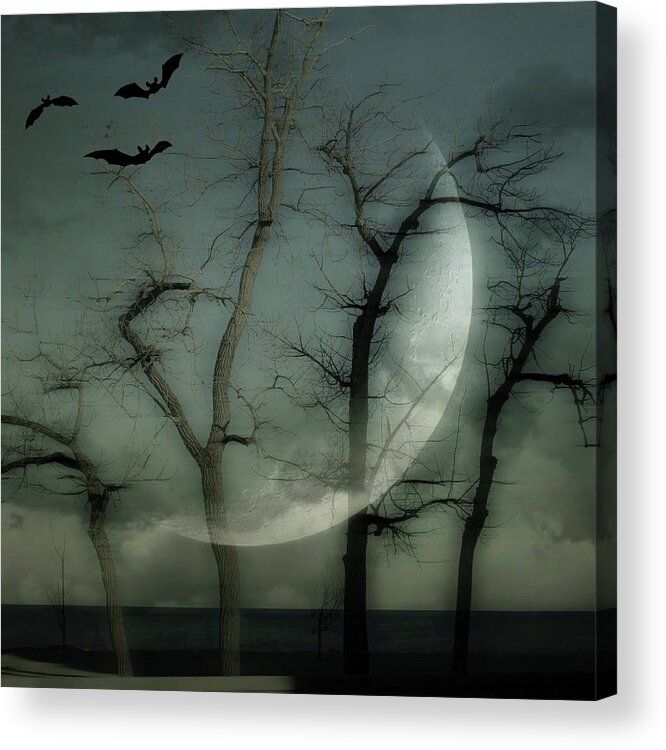 Halloween Acrylic Print featuring the photograph Halloween #1 by Jackson Pearson