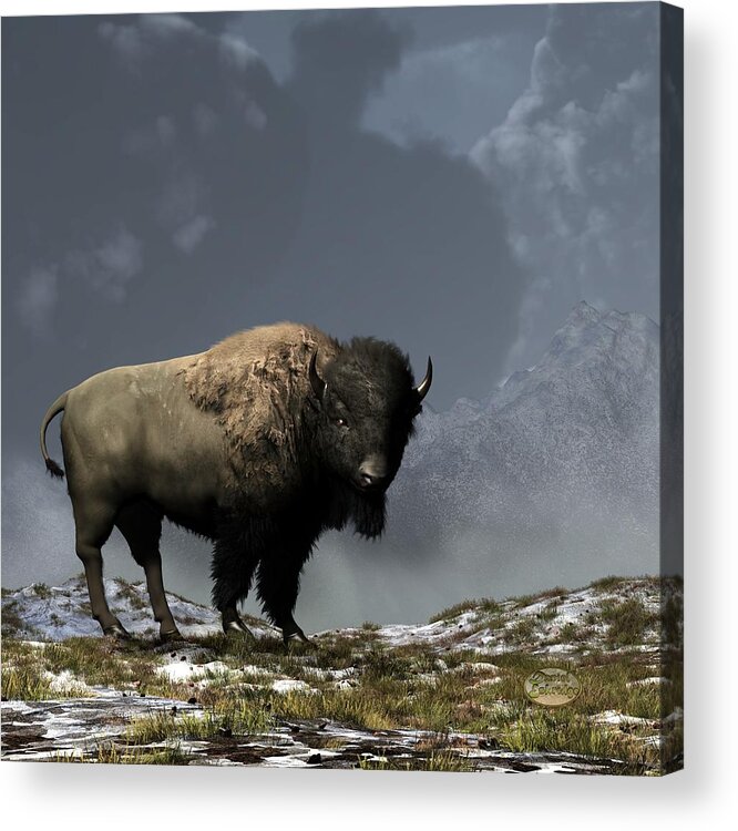 Bison Acrylic Print featuring the digital art Lonely Bison #1 by Daniel Eskridge