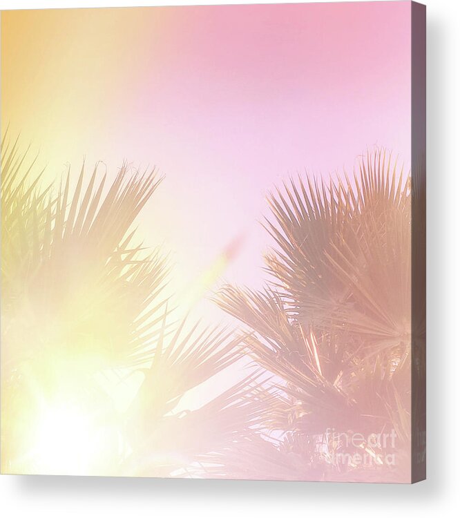 Palms Acrylic Print featuring the photograph Pink Palms 2 by Cindy Garber Iverson