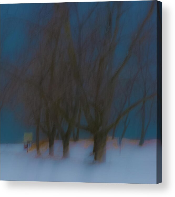 Camera Motion Acrylic Print featuring the photograph Tree Dreams #1 by Stewart Helberg