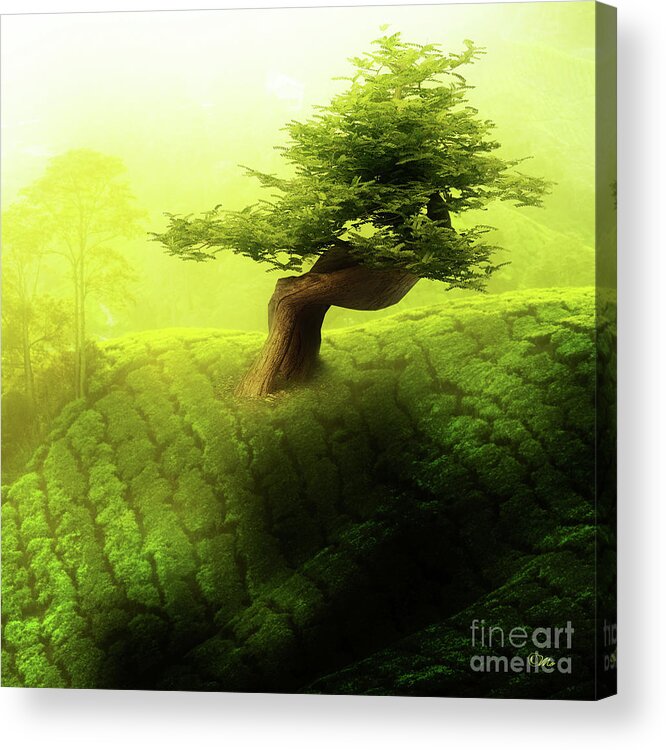 Tree Of Life Acrylic Print featuring the photograph Tree of Life #1 by Mo T