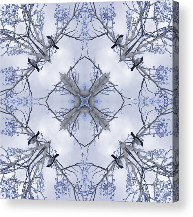 Kaleidoscope Acrylic Print featuring the photograph Wagtail #2 by Elaine Teague