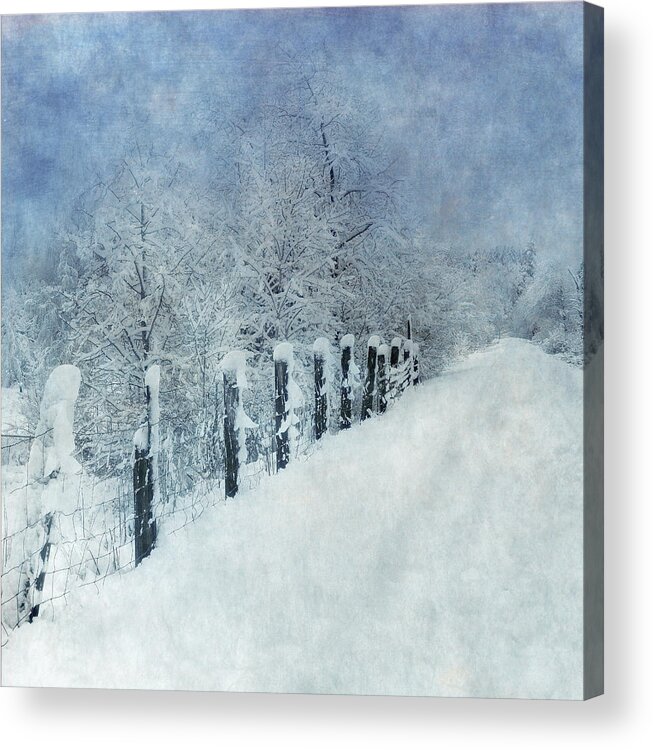 Winter Acrylic Print featuring the photograph Winter #1 by Angie Vogel