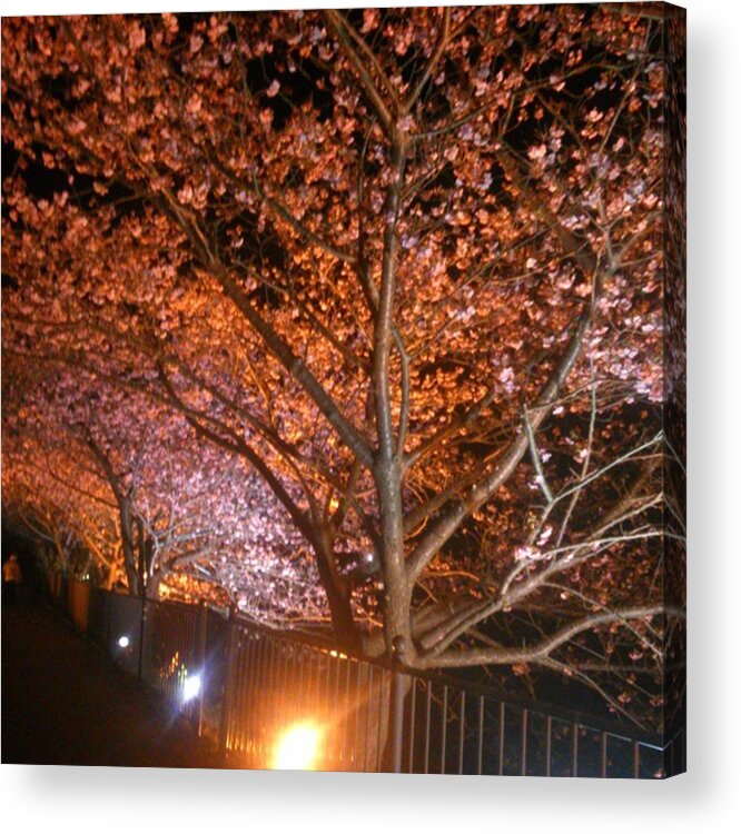 Beautiful Acrylic Print featuring the photograph Instagram Photo #121440115095 by Ito Suketoshi