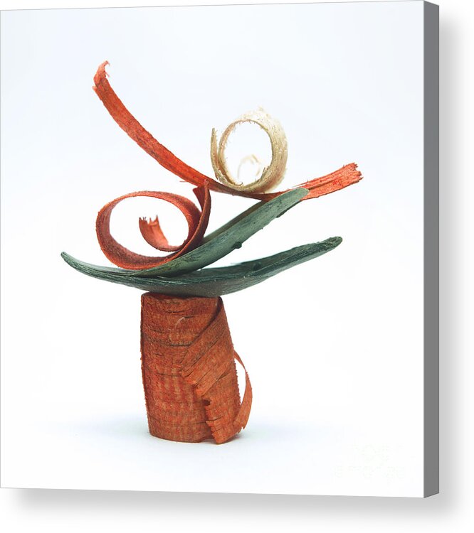 Dried Plant Acrylic Print featuring the photograph Potpourri #15 by Bernard Jaubert