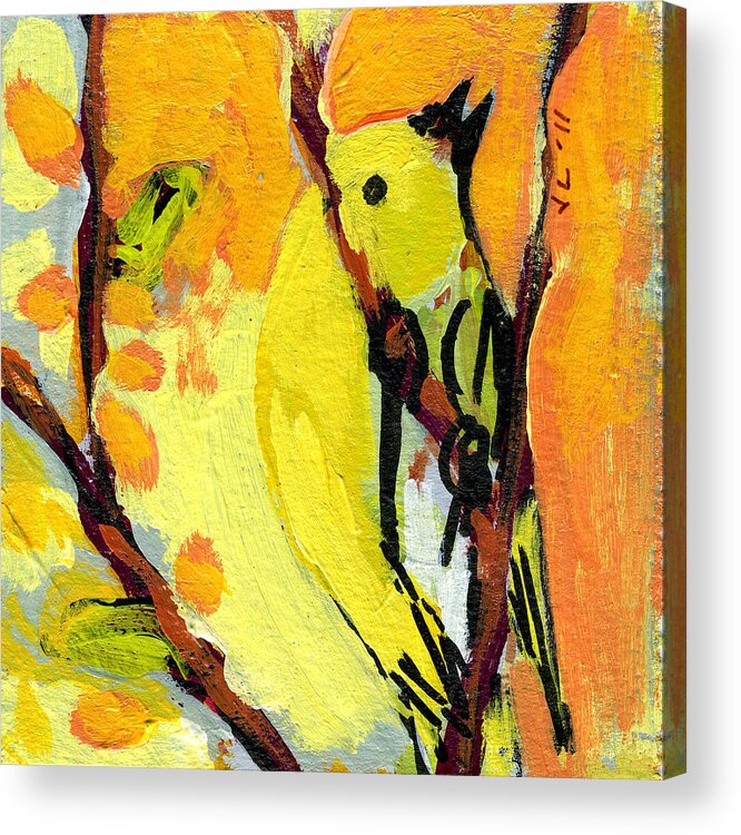 Bird Acrylic Print featuring the painting 16 Birds No 1 by Jennifer Lommers