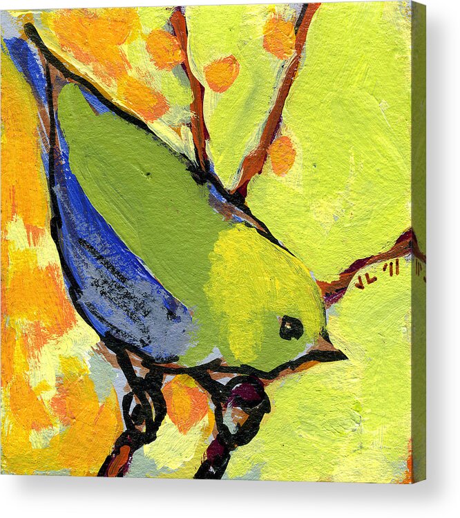Bird Acrylic Print featuring the painting 16 Birds No 2 by Jennifer Lommers