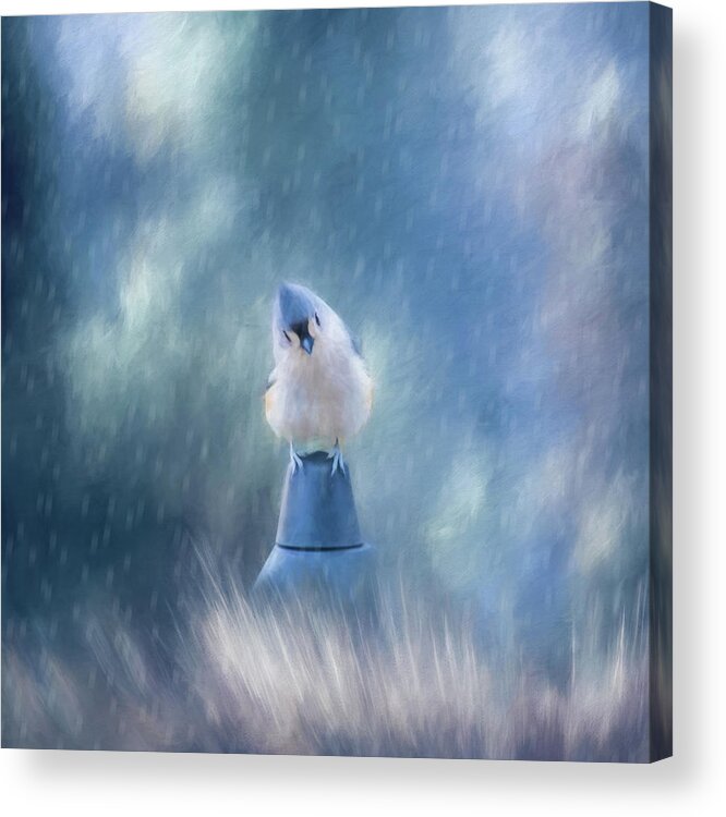 Bird Acrylic Print featuring the photograph April Showers by Cathy Kovarik