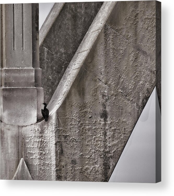 Architecture Acrylic Print featuring the photograph Architectural Detail #2 by Carol Leigh