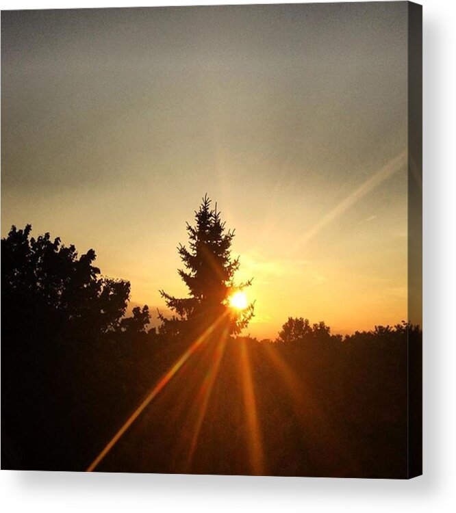 Summer Acrylic Print featuring the photograph Sunrays by Flavien Gillet