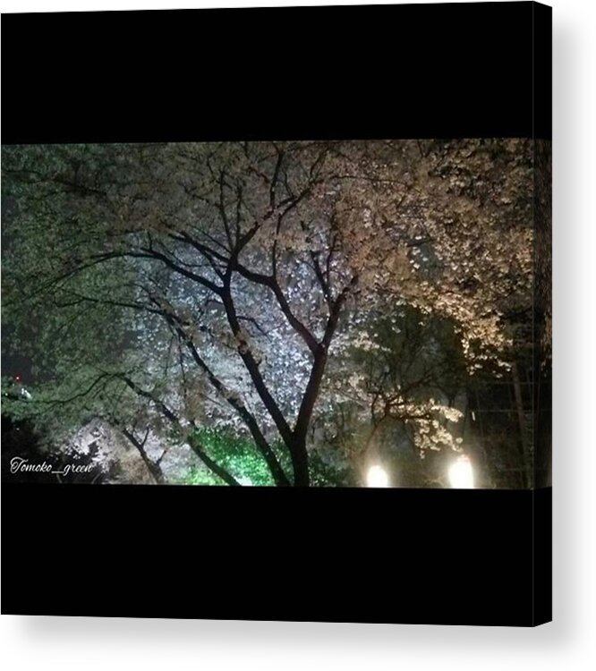 日本 Acrylic Print featuring the photograph Instagram Photo #481459780071 by Tomoko Takigawa