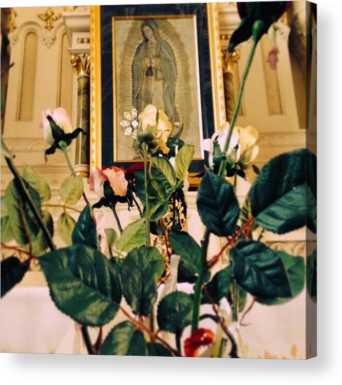 Flowers Acrylic Print featuring the photograph Flowers of Prayer by Dana Jutte