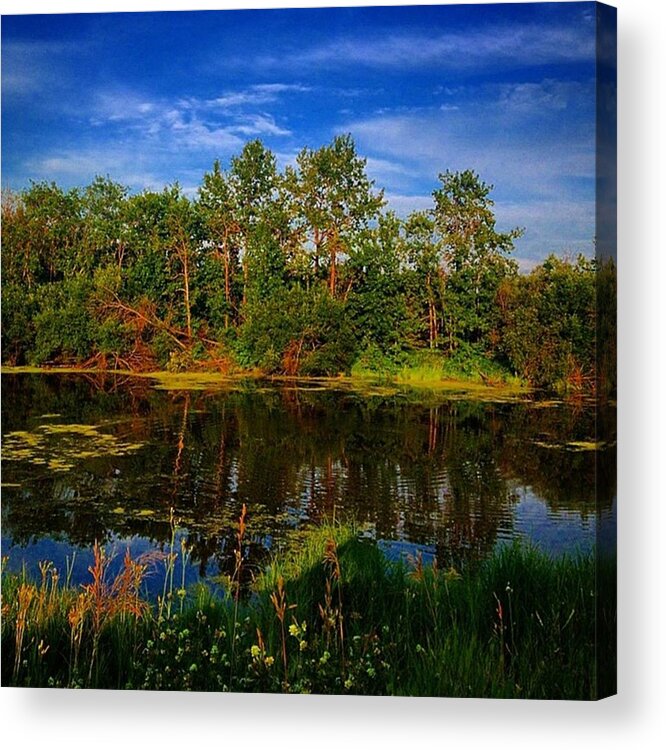 Beautiful Acrylic Print featuring the photograph To Green To Be True by Shawn Gordon