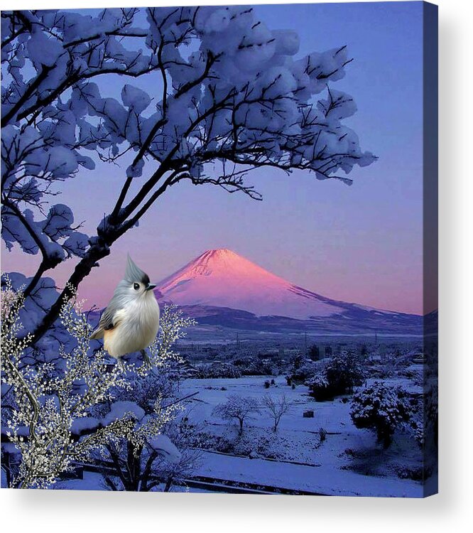 A Bird In Winter Scene Acrylic Print featuring the digital art Tufted Titmouse in winter scene by John Junek