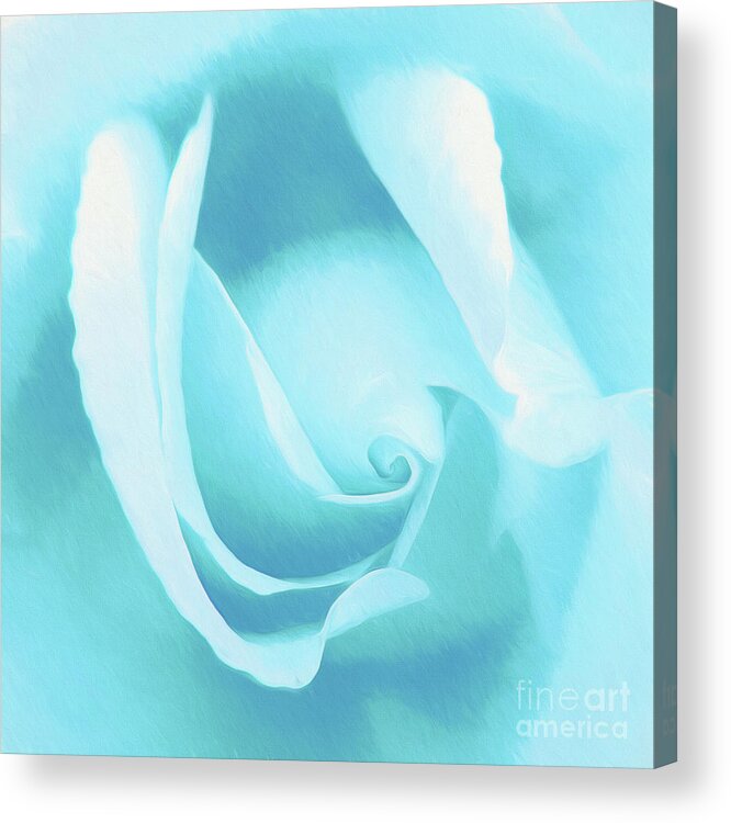 Roses-rosa Acrylic Print featuring the photograph A Blue Rose - Romantic Abstract Art by Scott Cameron
