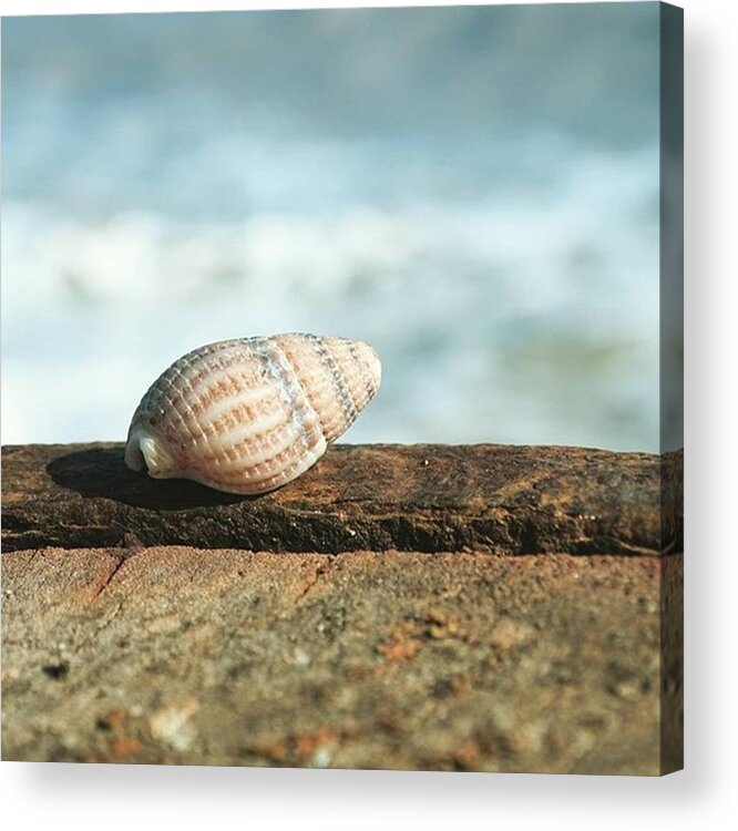 Picture Acrylic Print featuring the photograph A #trip To The #beach Resulted In Me by Gary Finch