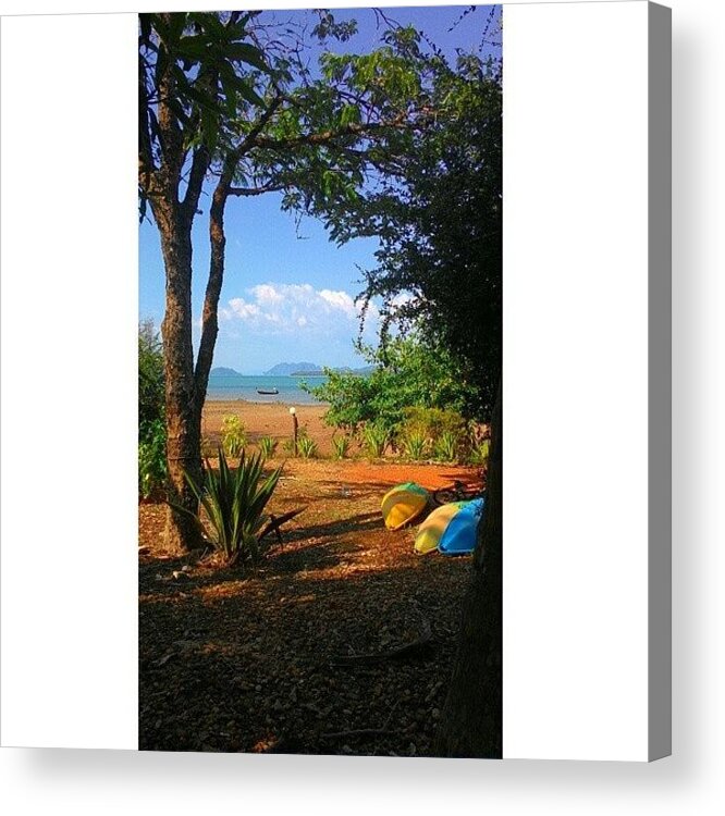  Acrylic Print featuring the photograph A Week In Paradise by Georgia Clare