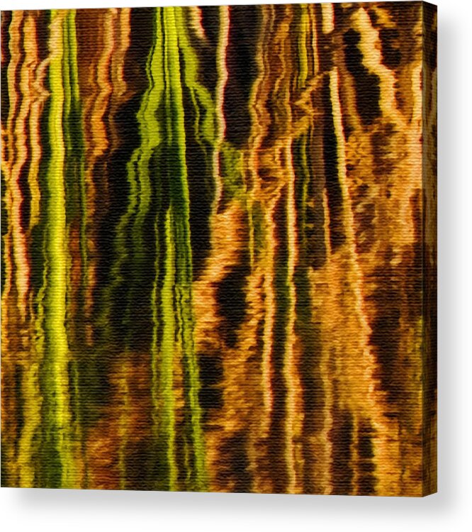 Abstract Acrylic Print featuring the photograph Abstract Reeds Triptych Middle by Steven Sparks