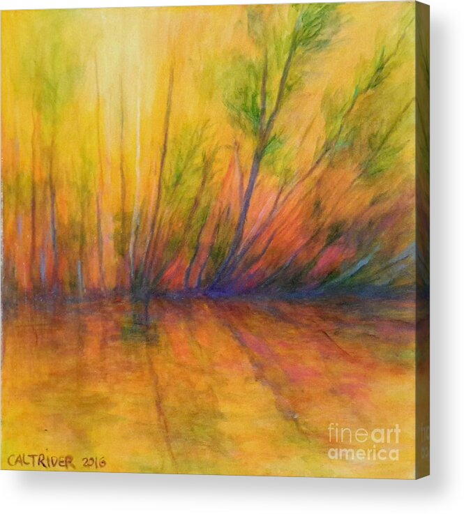 Landscape Acrylic Print featuring the painting Afternoon Glow by Alison Caltrider