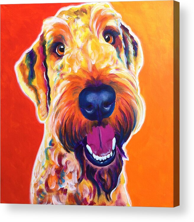 Airedoodle Acrylic Print featuring the painting Airedoodle - Hank by Dawg Painter