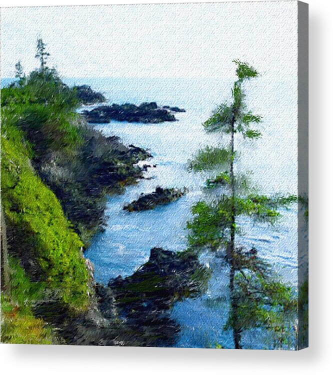 Digital Photograph Acrylic Print featuring the photograph Along the West Coast 1 by David Lane