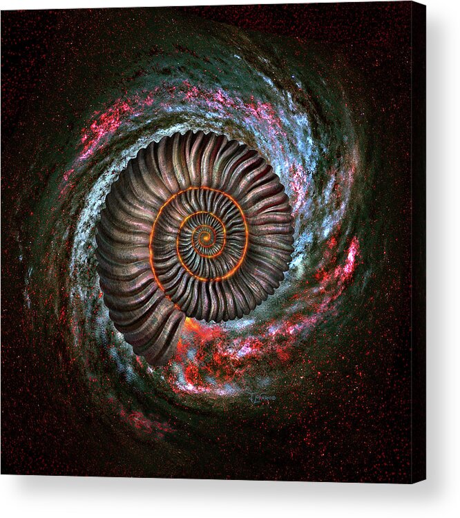 Ammonite Acrylic Print featuring the digital art Ammonite Galaxy by Jerry LoFaro
