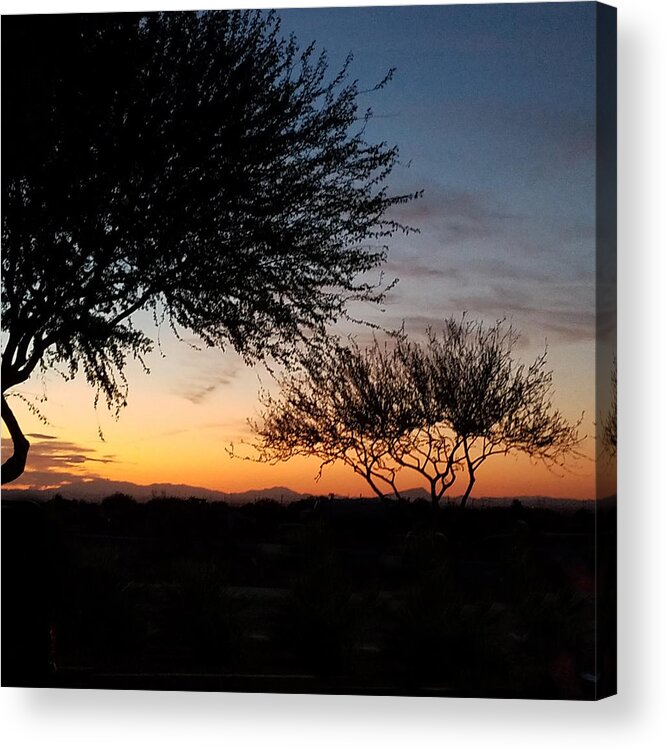Arizona Acrylic Print featuring the photograph Arizona Sunset by Vic Ritchey