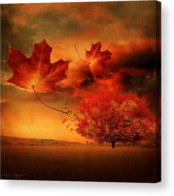 Maple Tree Acrylic Print featuring the photograph Autumn Blaze by Lourry Legarde