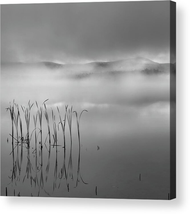 Square Acrylic Print featuring the photograph Autumn Fog Black and White Square by Bill Wakeley