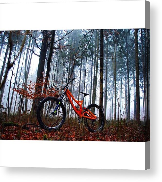 Beautiful Acrylic Print featuring the photograph Awesome Fog...
.

schaut Auch Mal by Adrian Meixner