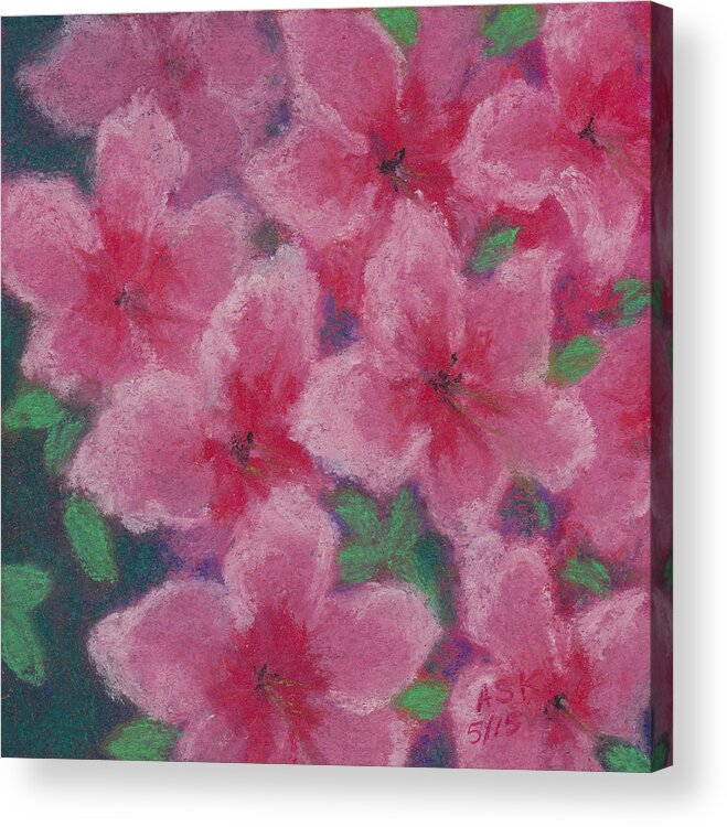 Pink Azaleas Acrylic Print featuring the pastel Azaleas in Pink by Anne Katzeff