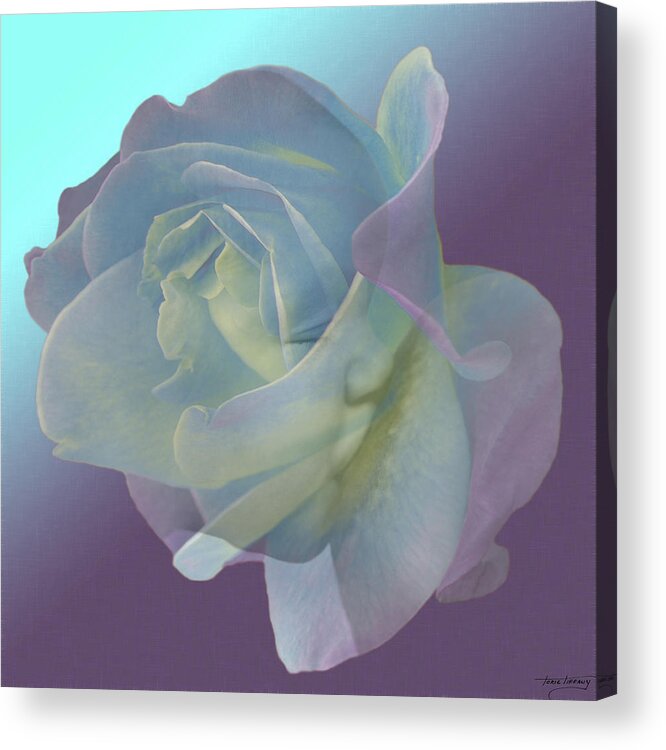 Fleurogeny Art Acrylic Print featuring the digital art Baby Boy by Torie Tiffany