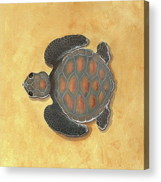 Baby Acrylic Print featuring the painting Baby SeaTurtle by DiDesigns Graphics