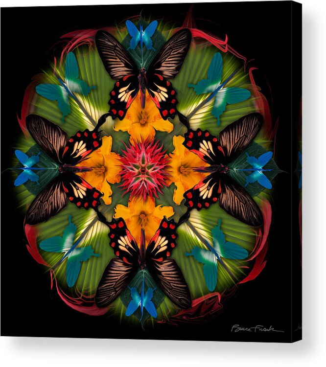 Botanical Acrylic Print featuring the photograph Balance by Bruce Frank