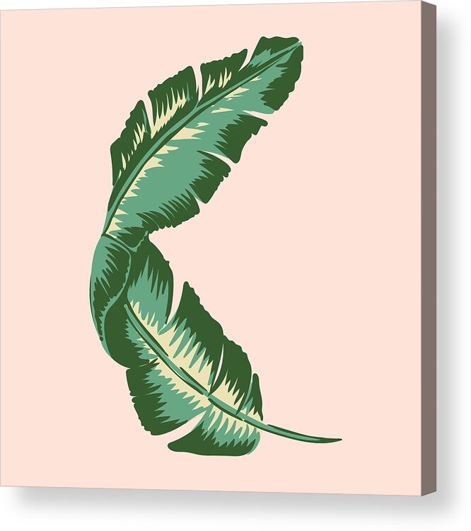 Leaf Acrylic Print featuring the digital art Banana Leaf Square Print by Lauren Amelia Hughes