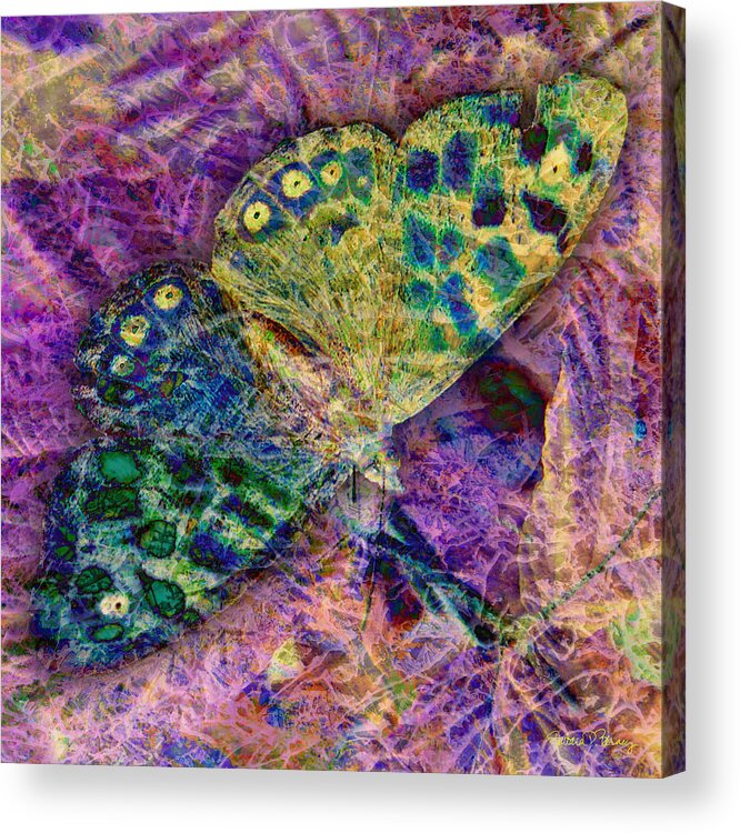 Butterfly Acrylic Print featuring the digital art Batik Butterfly by Barbara Berney