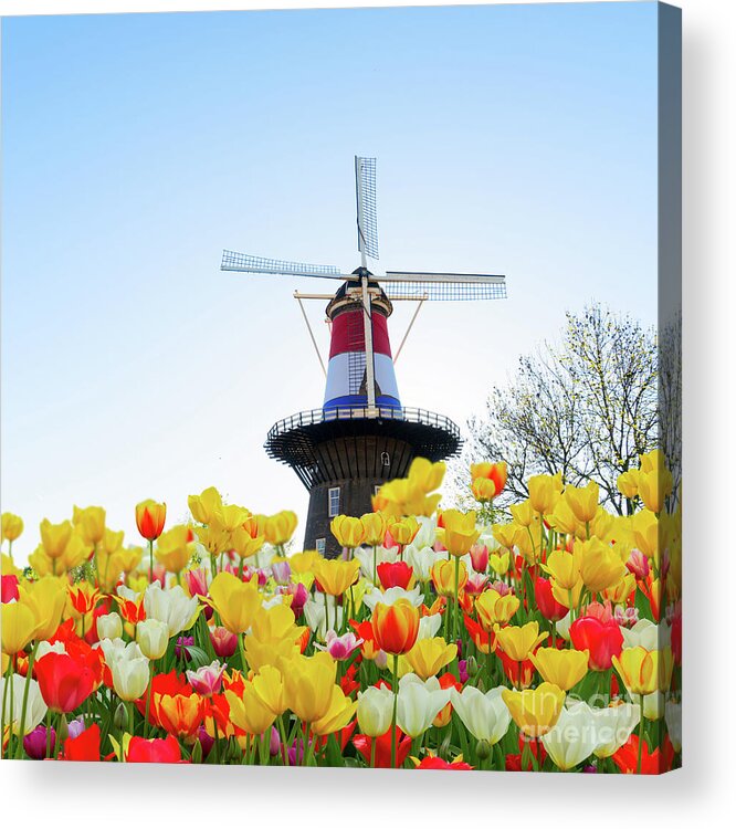 Amsterdam Acrylic Print featuring the photograph Dutch Windmill with Netherlands Flag by Anastasy Yarmolovich