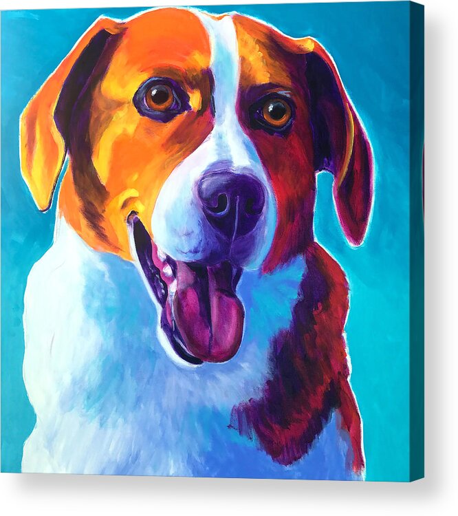 Pet Portrait Acrylic Print featuring the painting Beagle - Penny by Dawg Painter