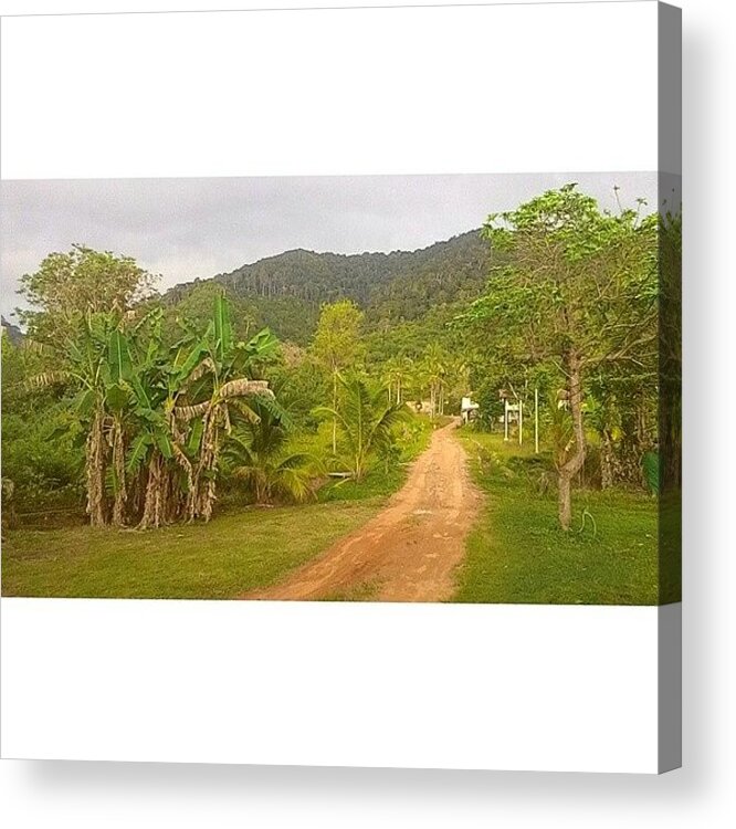 Insta_land Acrylic Print featuring the photograph Beautiful Green Thailand by Georgia Clare