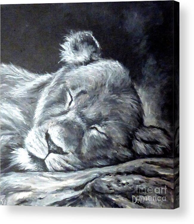 Lioness Sleeping Acrylic Print featuring the painting Big Catnap by Deborah Smith