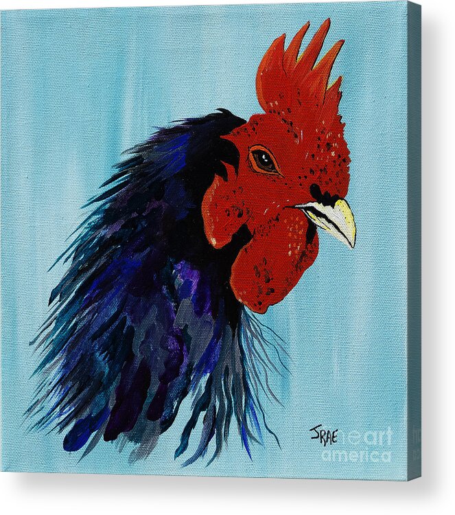 Cock Acrylic Print featuring the painting Billy Boy the Rooster by Janice Pariza