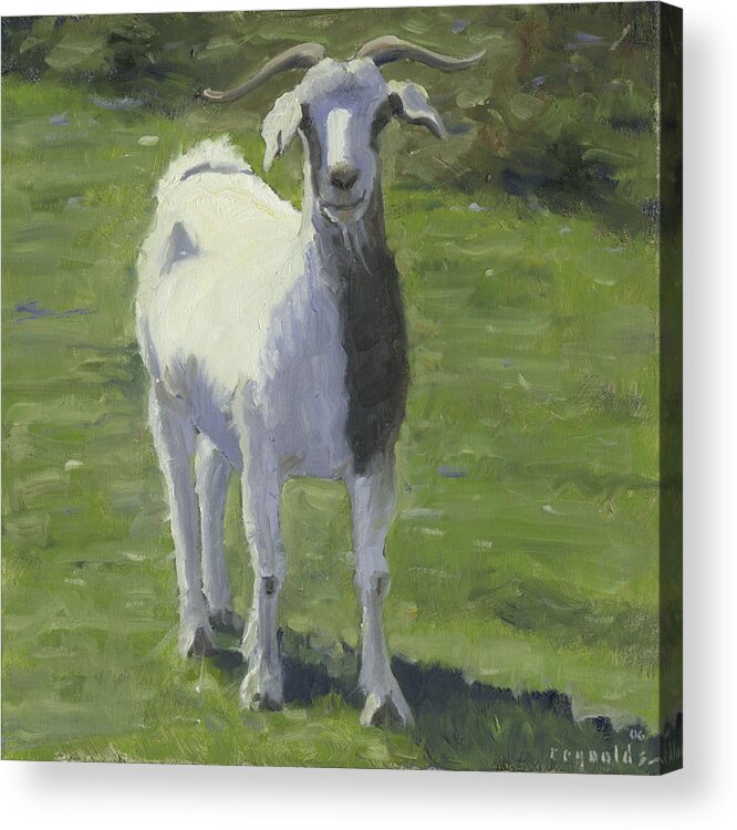 Farm Animal Acrylic Print featuring the painting Billy Goat by John Reynolds