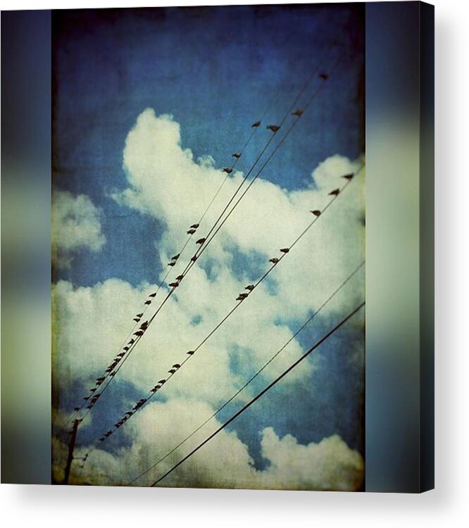 Textures Acrylic Print featuring the photograph Birds On A Line #clouds #birdsonawire by Joan McCool
