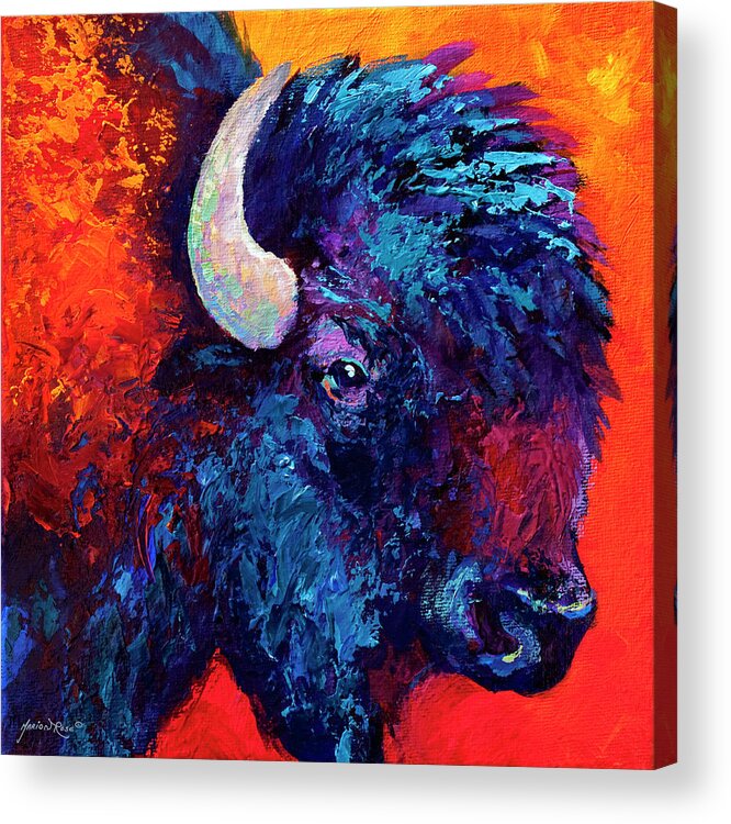 Bison Acrylic Print featuring the painting Bison Head Color Study II by Marion Rose