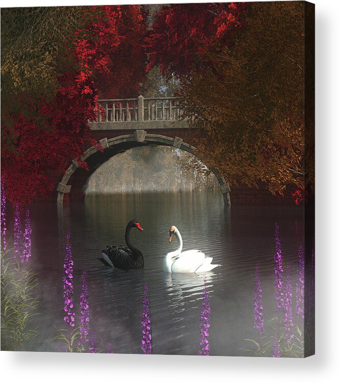 Autumn Acrylic Print featuring the painting Black and white swans by Jan Keteleer