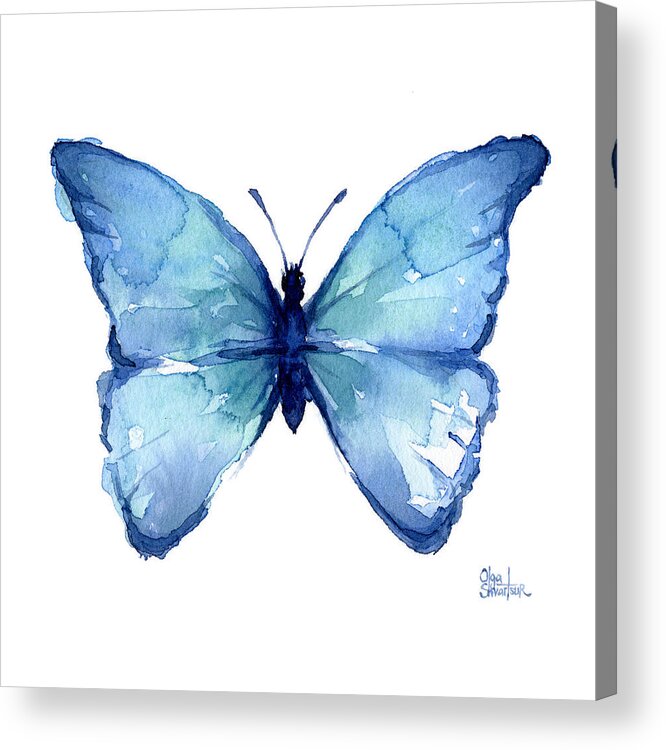Watercolor Acrylic Print featuring the painting Blue Butterfly Watercolor by Olga Shvartsur