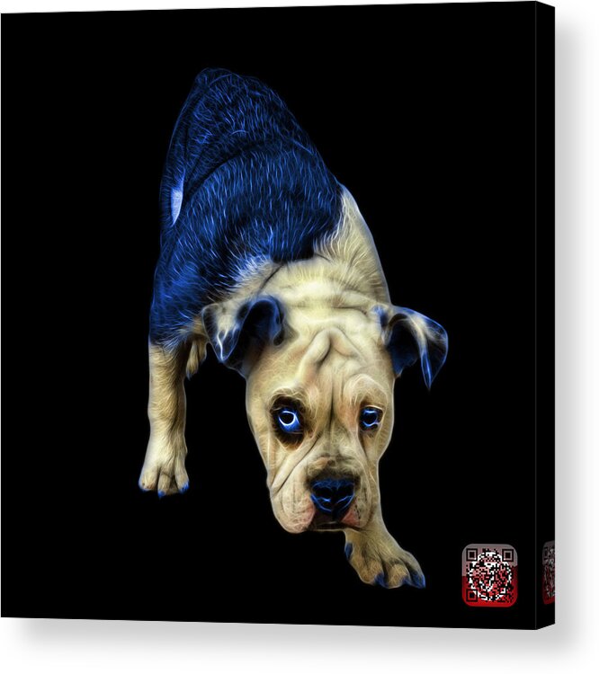 Bulldog Acrylic Print featuring the painting Blue English Bulldog Dog Art - 1368 - BB by James Ahn