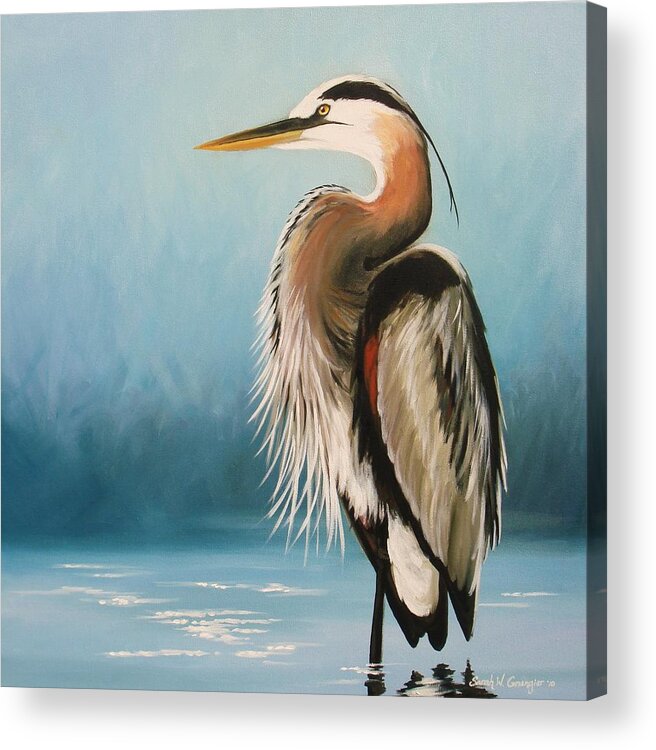 Great Blue Heron Acrylic Print featuring the painting Blue Heron by Sarah Grangier